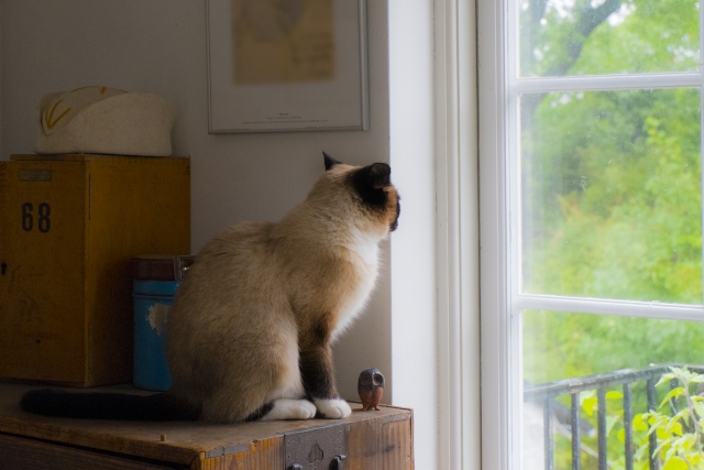 外行きたいな～